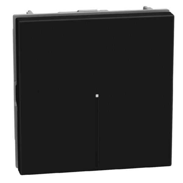 Light Now БУТОН 1P (NO) АКСИАЛЕН 10A 2M ГРАФИТ